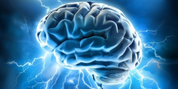 Cerveau