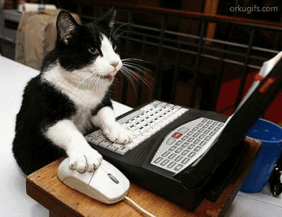 GIF chat