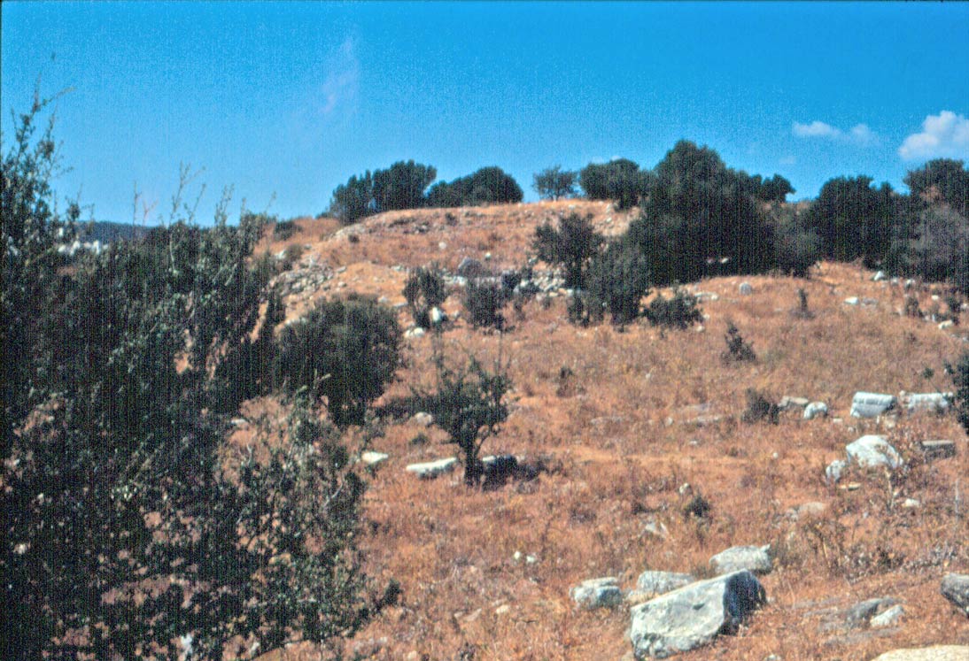 Bargylia