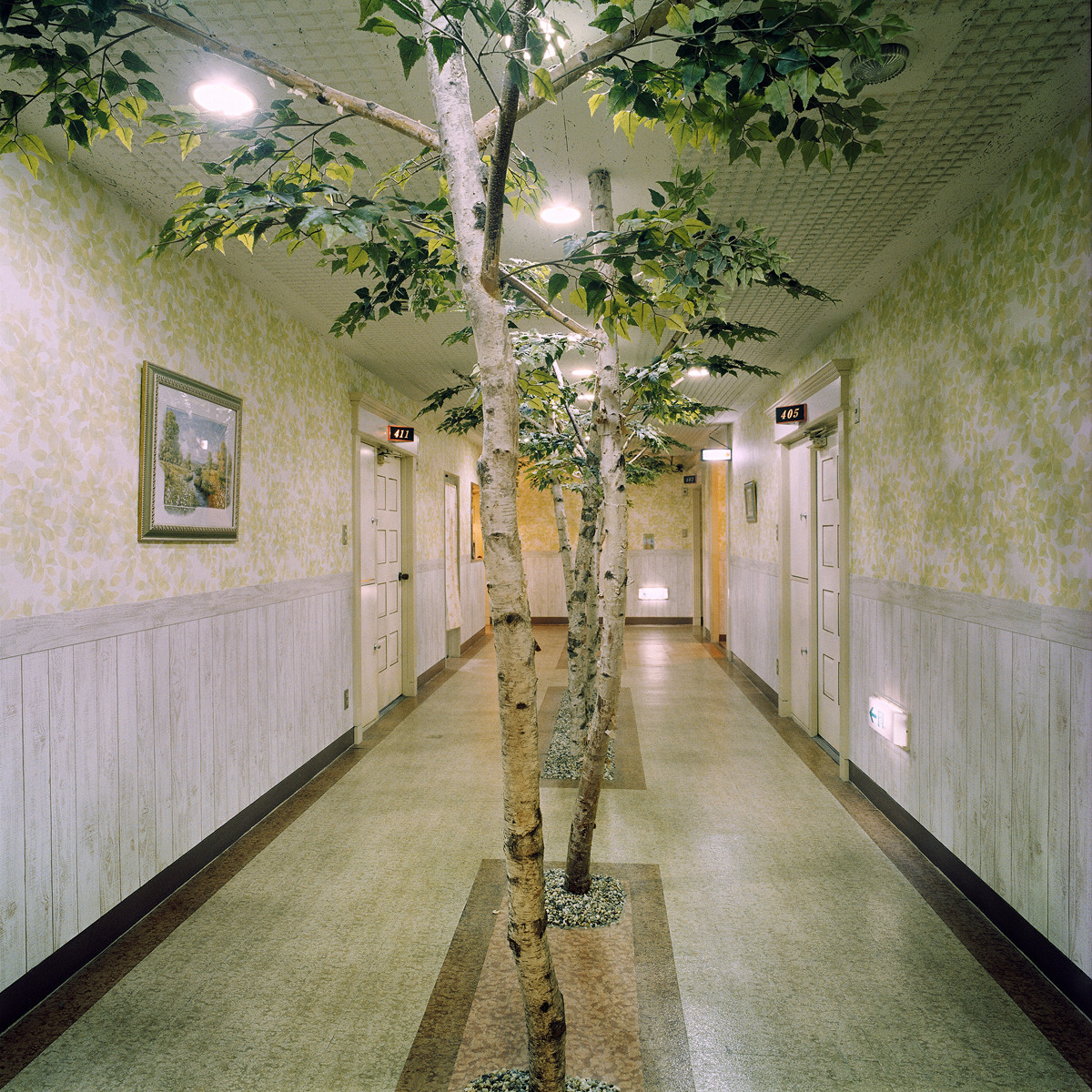 Hôtel 14