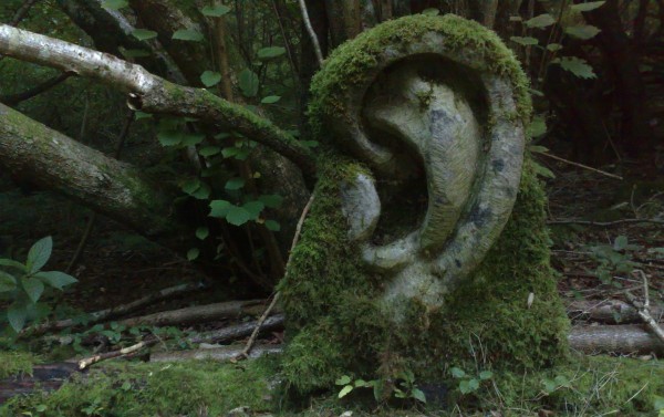 Oreille 2