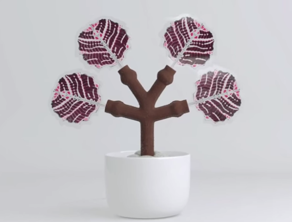 Arbre 3D