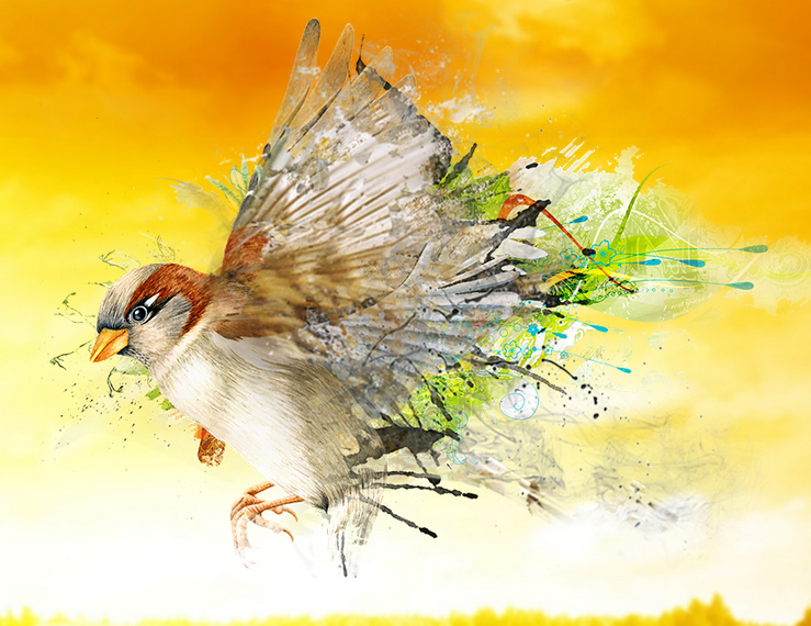 Moineau 2