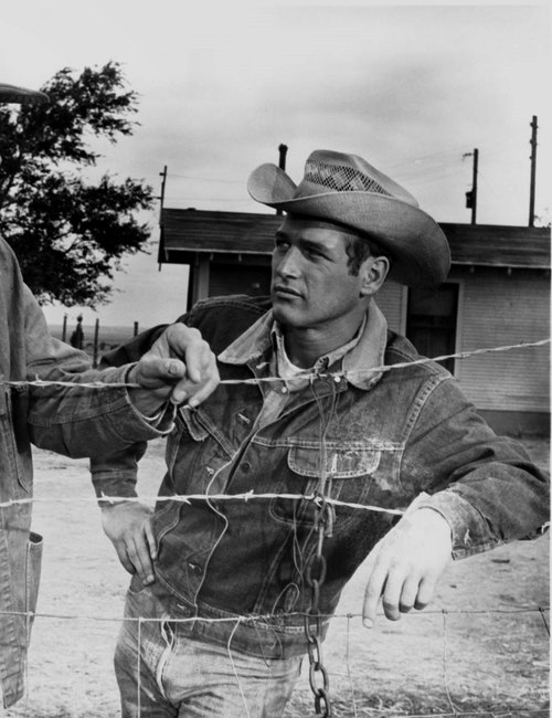 paulnewman2