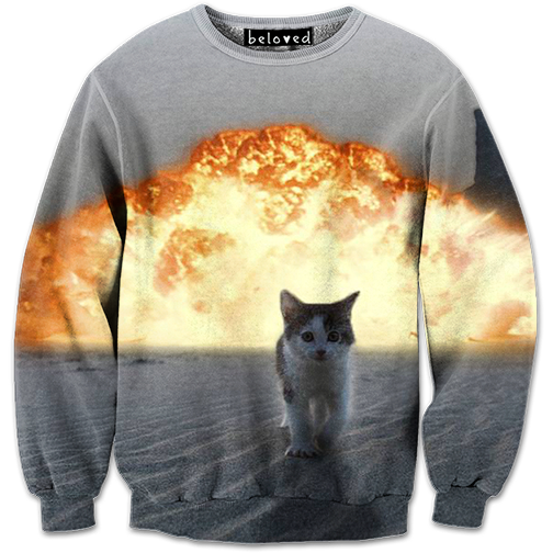 catsplosion
