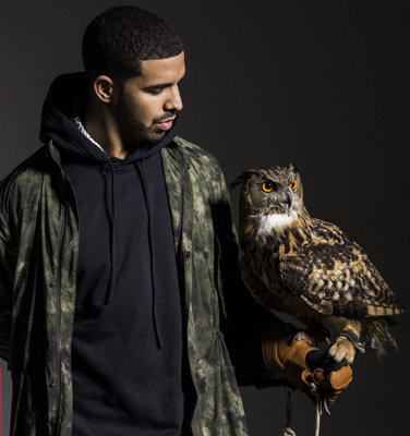 drakeowll2