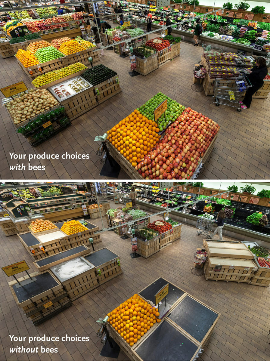 'Big-wholefoods-bees-releasephoto.jpg'