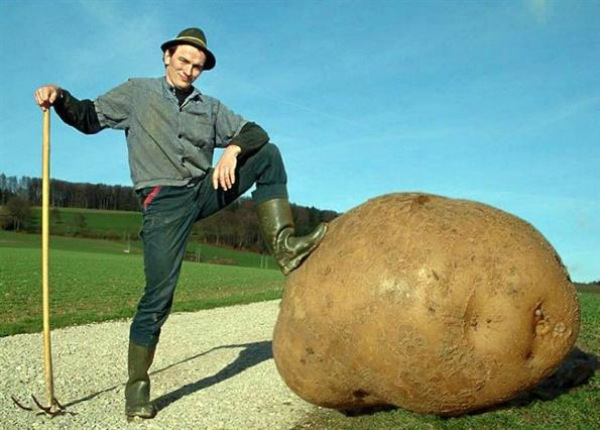 Alex Graig explique comment gagner de l'argent avec une pomme de terre et un feutre