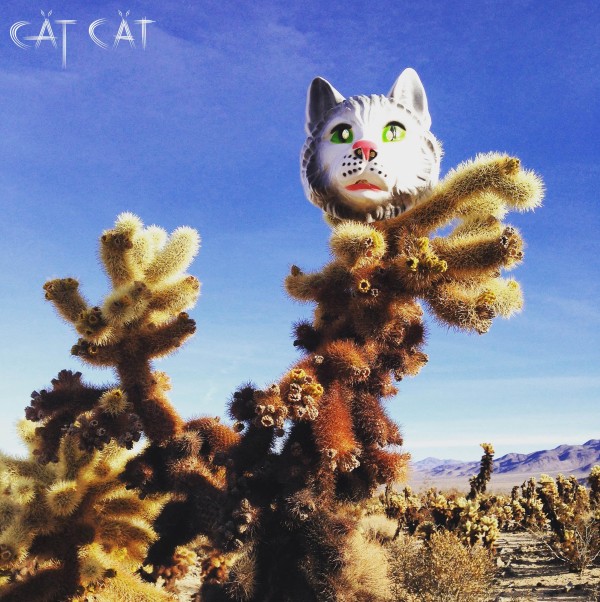 catcat