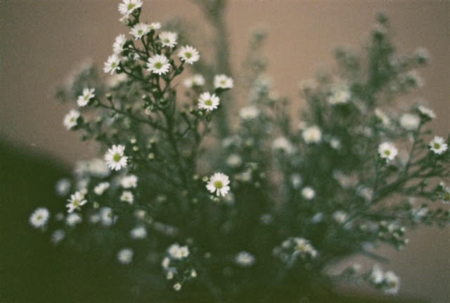 photo13
