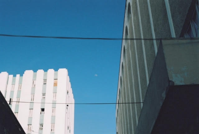 photo8