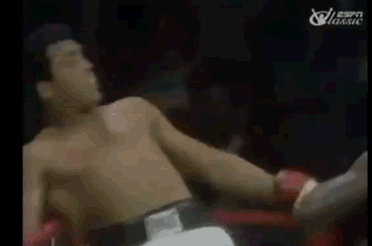 aligif