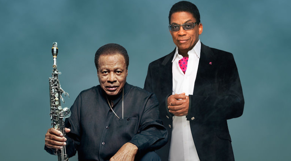 Hancock Shorter Clique tv