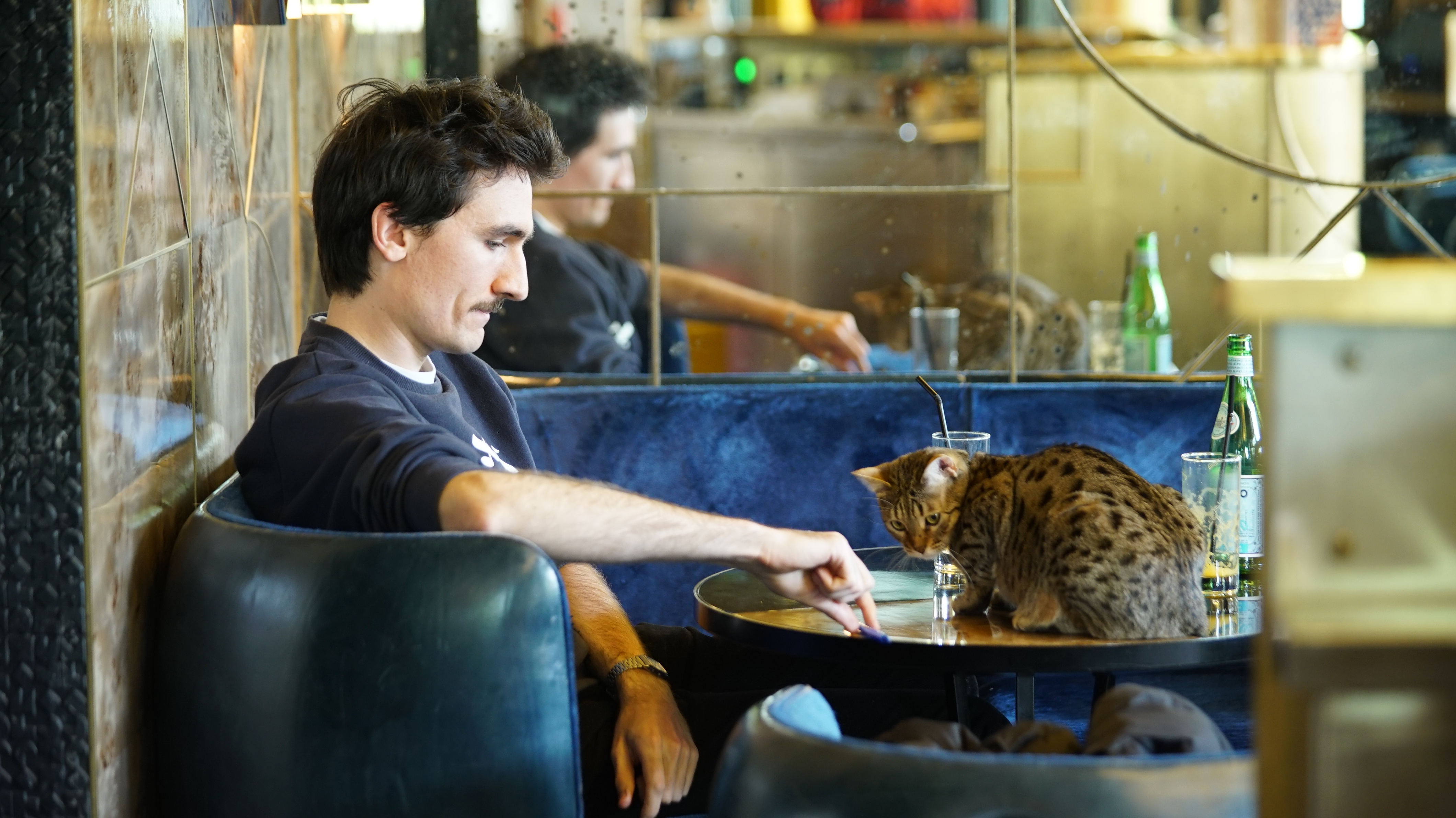 Borussia et un chat 