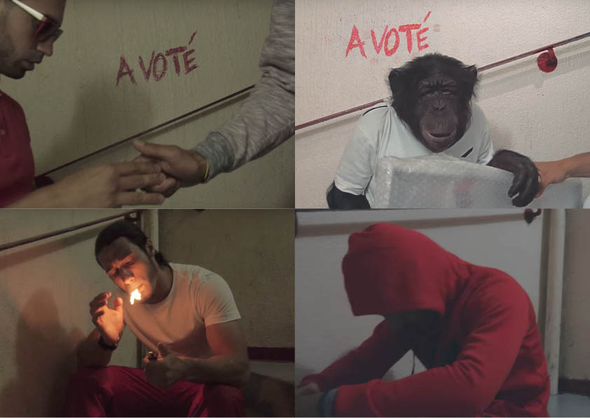 PNL a vote