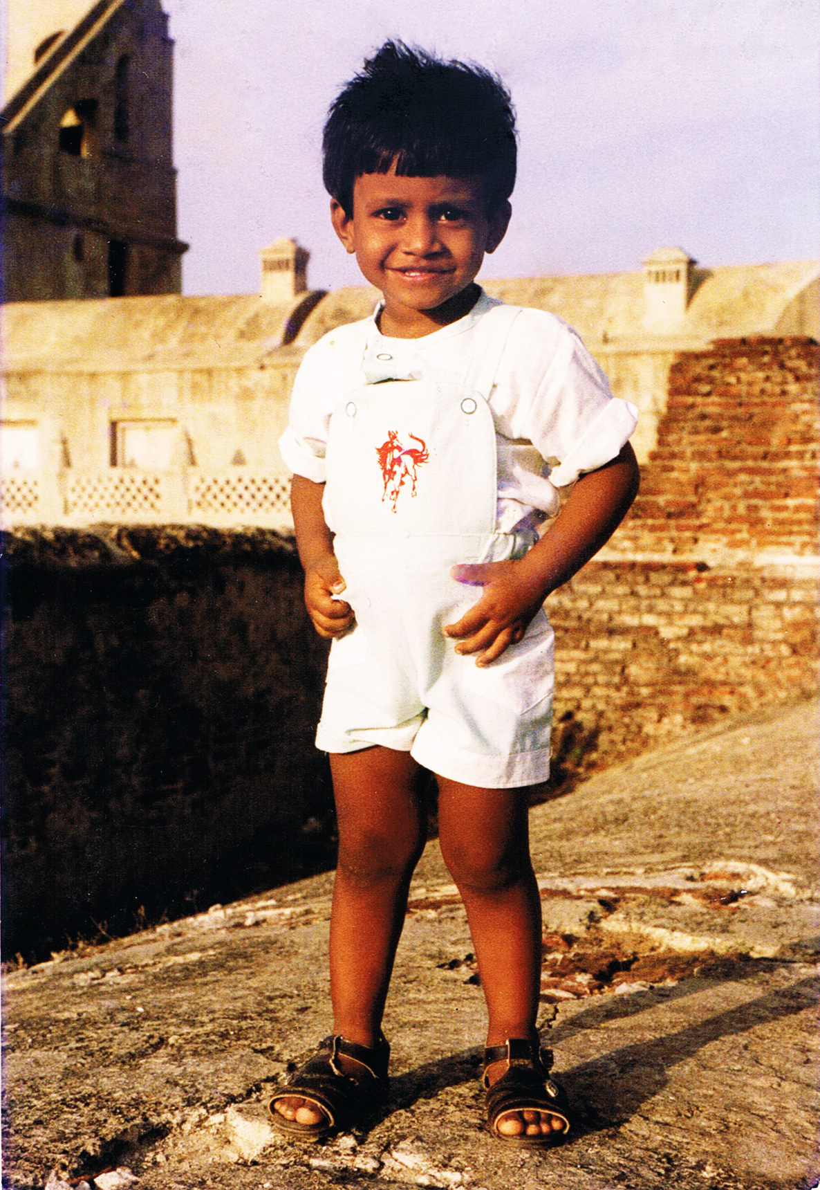 sham 1987