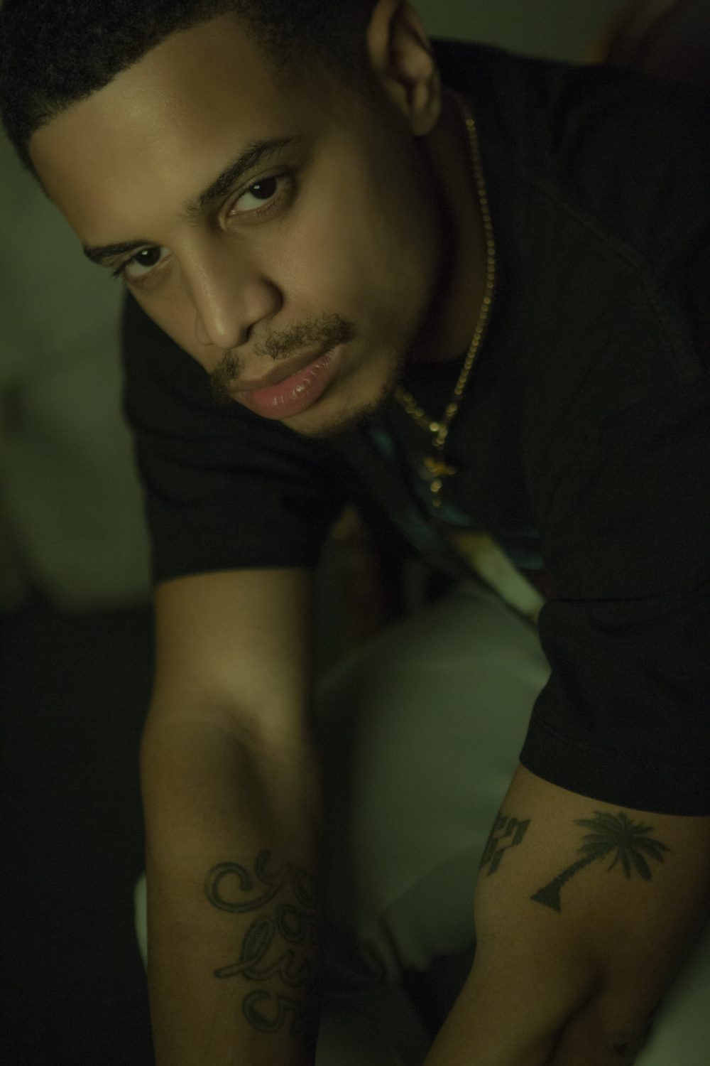 Ash kidd photo palmier