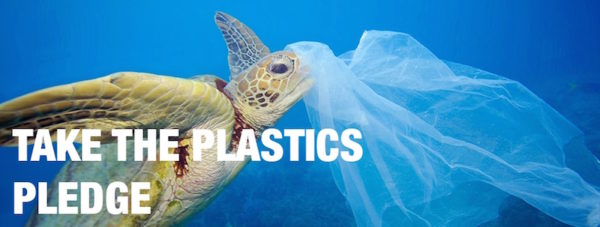 home-clique-tv-plastic-pledge-greenpeace