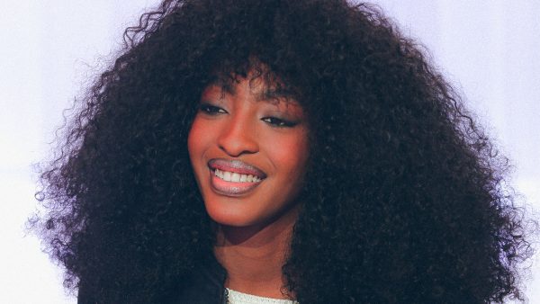 Ebony article