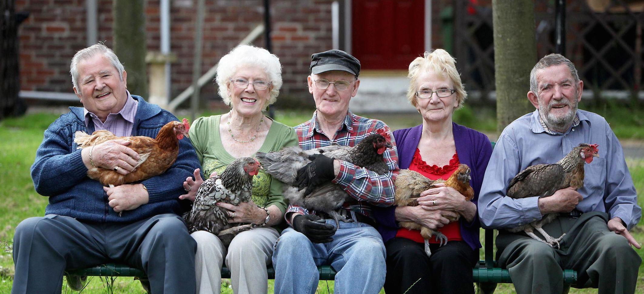 photo de personnes agées assises sur un banc avec des poules dans les mains