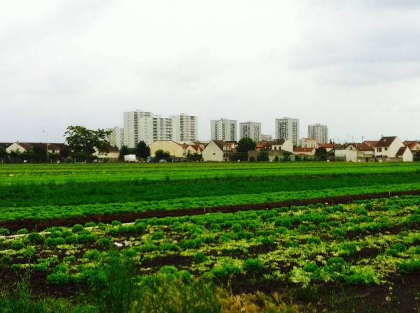 10505154_1395596463998580_794420225872713249_o