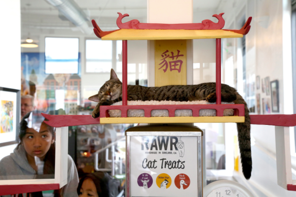 Capture d’écran 2014-12-16 à 14.59.06