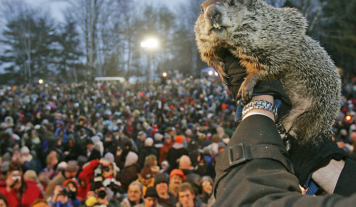 Photo d'illustration avec une marmotte face à une foule
