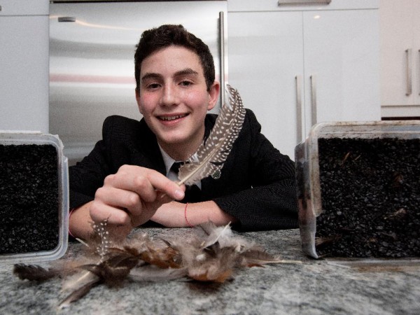 0225 chicken potholes 6458