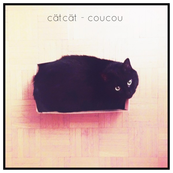 CatCat, "Coucou"