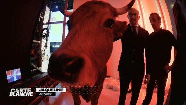 12670223_1873027692923801_787173130232448118_n