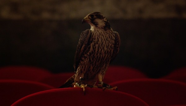 Festival du film franco-arabe