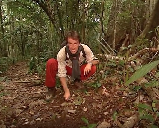 C'est pas sorcier : épisode "au coeur de la forêt tropicale"