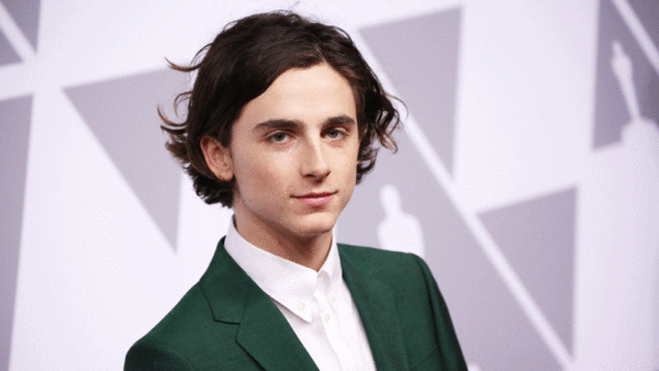 home-clique-tv-timothee-chalamet