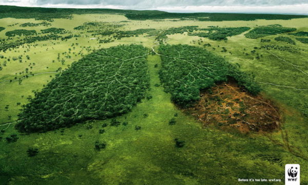 home-clique-tv-wwf-dépassement