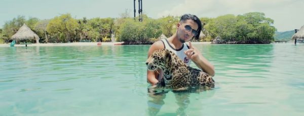 home-clique-tv-mmz-elle-ma-vu-2